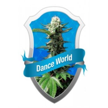 DANCE WORLD MEDICAL 3 kom. RQS