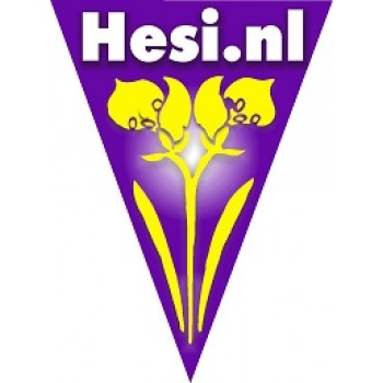 Hesi.nl